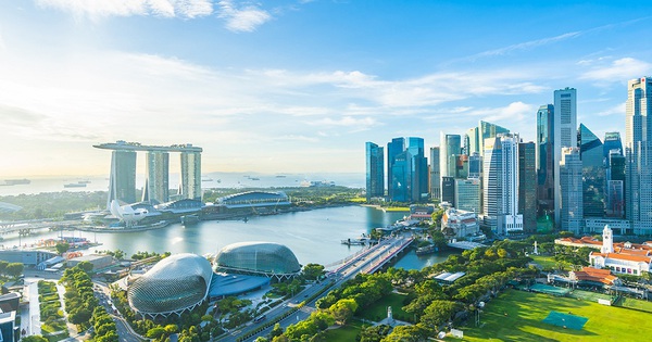 Thị trường Singapore đa dạng hàng hóa Việt Nam: Sản phẩm nào đang chiếm sóng tại Quốc đảo Sư Tử?