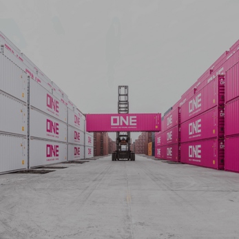 Các hãng tàu container tăng cường dịch vụ trong khu vực châu Âu.