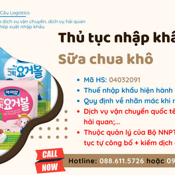 Thủ tục và thuế nhập khẩu Sữa chua khô