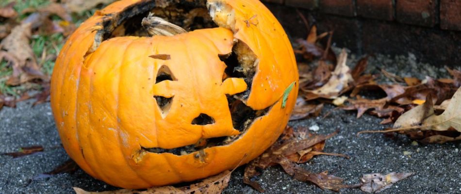 ‘Scary’ levels of waste expected in supply chains over Halloween