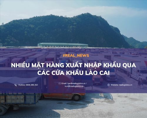 NHIỀU MẶT HÀNG XUẤT NHẬP KHẨU QUA CÁC CỬA KHẨU LÀO CAI