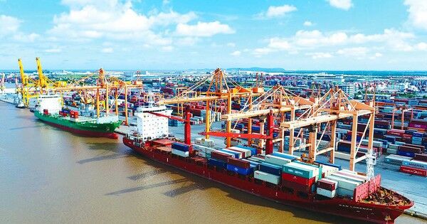 3 cảng biển Việt Nam lọt top 50 cảng biển có sản lượng container thông qua lớn nhất trên thế giới