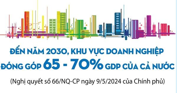 Đến năm 2030, khu vực doanh nghiệp đóng góp 65 - 70% GDP của cả nước