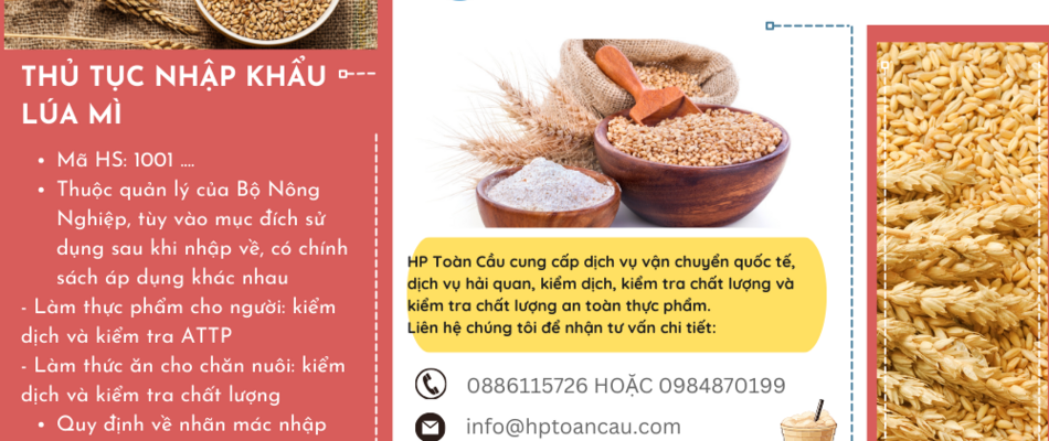 Thủ tục nhập khẩu lúa mì