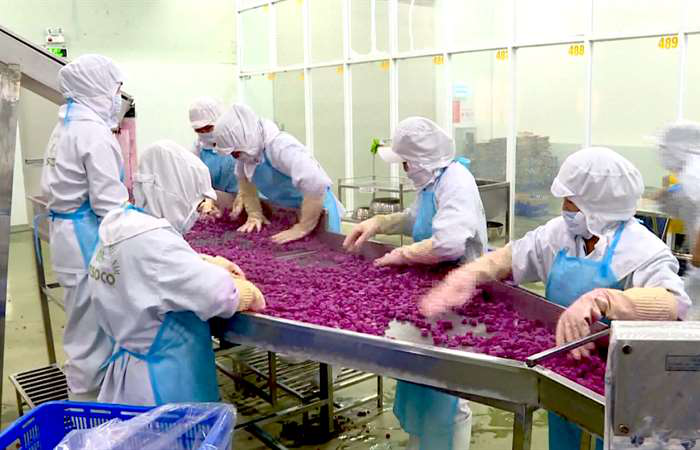 Nửa đầu năm, sản xuất khởi sắc, xuất khẩu tăng trưởng ấn tượng- Ảnh 2.