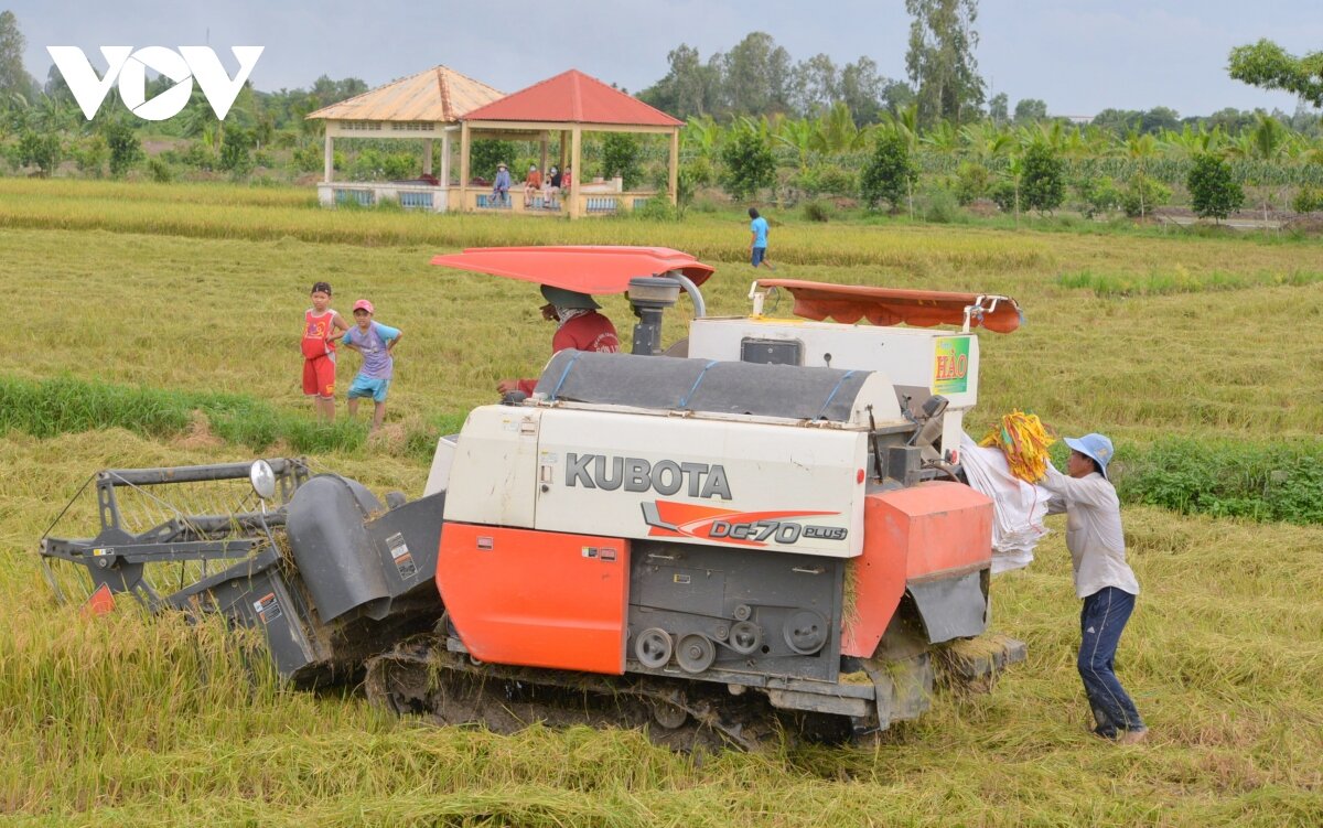 Giải pháp thúc đẩy xuất khẩu 6 tháng cuối năm 2024- Ảnh 2.